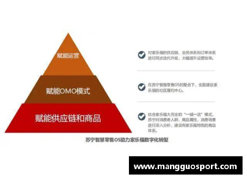 苏宁物流：打造智慧供应链，引领行业未来